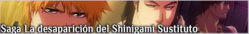 La desaparición del Shinigami Sustituto