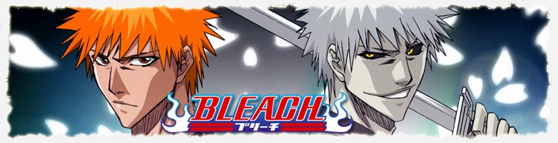 Bleach